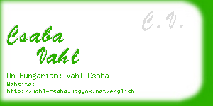 csaba vahl business card